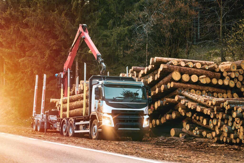 Die Papierindustrie nutzt Zertifizierungssysteme, um sicherzustellen, die Wälder nachhaltig bewirtschaftet werden.